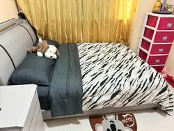 Blk 340 Clementi Avenue 5 (Clementi), HDB 5 Rooms #566611111